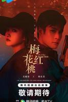 《红桃MV》在线看免费观看电视剧全集高清—梅花红桃 第01集
