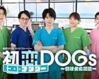 《初恋UNDER DOGs 败犬与初恋1-6》全集在线观看-动漫