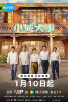 《小城大事》电视剧在线观看全集