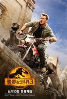 正在播放《侏罗纪世界3》HD中字完整版在线观看极速播放