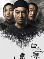 《白鹿原2017》国产电视剧免费全集在线观看03集